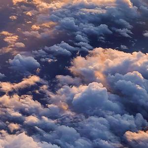 猎奇小屋(破解版)免广告2024
